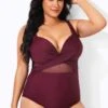 Wine Cut Out Mesh Fashion One Piece Swimsuit