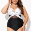 Elegant Dot Colorblock Mesh One Piece Swimsuit